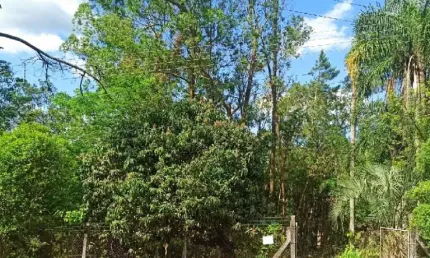 Terreno à venda na Rua Oly Titton, São Cristóvão, Gravataí
