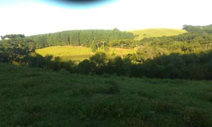 Fazenda-Sítio para venda  no Bairro Fazenda Souza em CAXIAS DO SUL