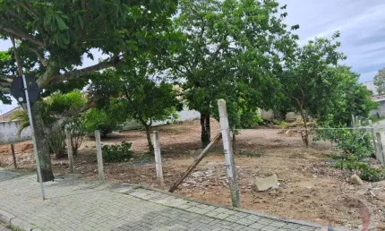 Terreno à venda na Rua João de Barro, 5, Serraria, São José
