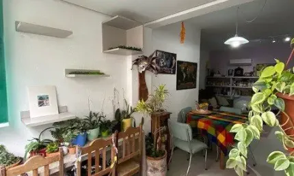 Maravilhoso apartamento de 2 dormitórios no campeche
