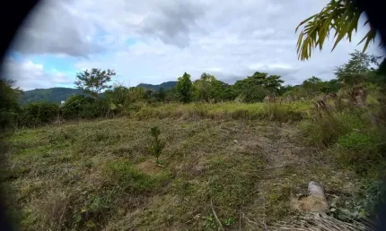 Terreno à venda no Centro, Rio dos Cedros 