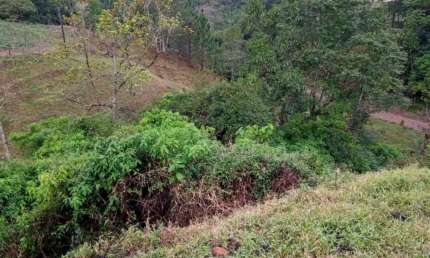 Terreno à venda no Centro, Benedito Novo 