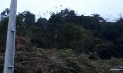 Terreno à venda no Santa Maria, Benedito Novo 