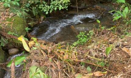 Chácara / sítio à venda na Zona Rural, Rio dos Cedros 