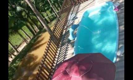Chácara / sítio com 2 quartos à venda no Rio Cunha, Rio dos Cedros 