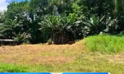 Terreno à venda na Rua Doutor Jorge Lacerda, Dolorata, Rio dos Cedros