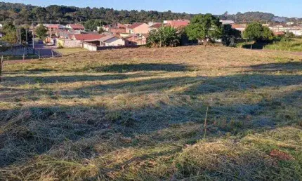 Loteamento de terrenos em araucaria bairro costeira proximo rotatoria maranhão