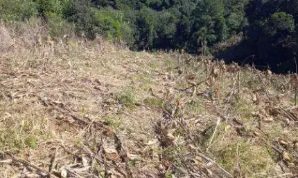 Chácara / sítio com 3 quartos à venda na Zona Rural, Contenda 