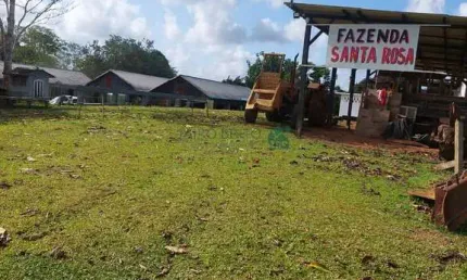 Fazenda à Venda de Cacau e gado em Ilhéus, 30 minutos do Centro