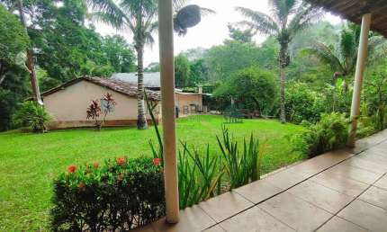 Vendo Fazenda mista, cacau e pasto com 191 hectares - Ilhéus - oportunidade