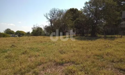 Terreno comercial para alugar na Alameda Carlos de Carvalho Vieira Braga, 327, Chácaras Alpina, Valinhos por R$ 3.000
