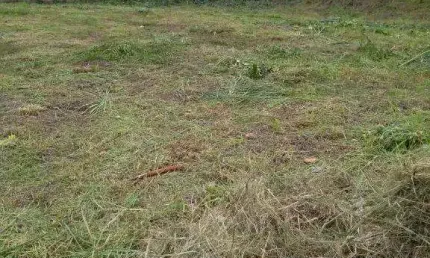 Terreno à venda na Rua Olga Benário Prestes, 91, Ribeirânia, Ribeirão Preto por R$ 450.000