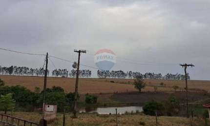 Fazenda à Venda com 53 alqueires - Cana e Pecuária - Região de Fernandópolis/SP