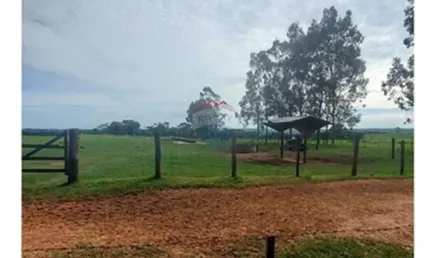 Fazenda com 131 alqueires à Venda na Região de Araçatuba/SP - Pecuária
