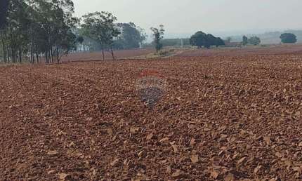 Fazenda 140 alqueires à Venda na Região de Tupã/SP - Cana