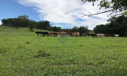 Fazenda - 83 alqueires - Região de General Salgado/SP