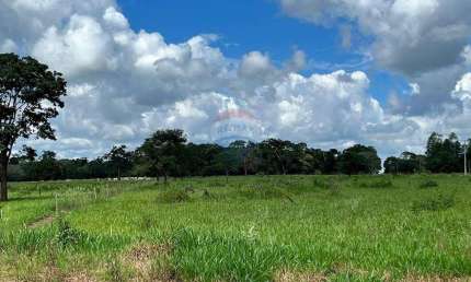 Fazenda 56 Alqueires - Cana - Região de São Carlos/SP