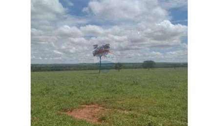 Fazenda de 84 Alqueires - Lavoura - Região de Junqueirópolis/SP à Venda