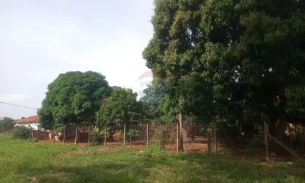 Terreno à venda no Petit-Trianon, Araçatuba 