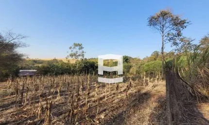 Chácara à venda, 3000 m² por R$ 300.000,00 - Chácara Mate Amargo - Apucarana/PR