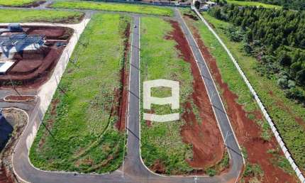 Terreno à venda, 200 m² por R$ 194.000,00 - Vila Nossa Senhora da Conceição - Apucarana/PR