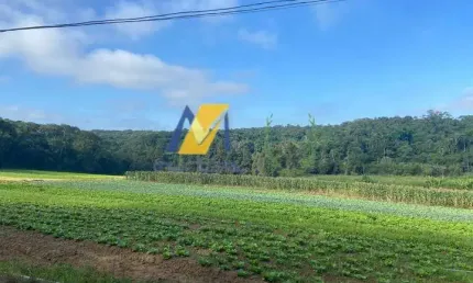 Terreno à venda no Parque Santa Rosa, Suzano 