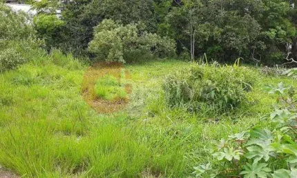 Terreno à venda, 420 m² por - Vila do Peró - Cabo Frio/RJ