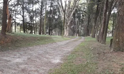Barracão / Galpão / Depósito à venda na Rua Ana do Sacramento Andrade, 1011, Furnas, São Paulo, 2800 m2 por R$ 15.000.000
