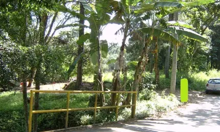 Casa com 5 quartos à venda na Avenida Nova Cantareira, 7055, Tucuruvi, São Paulo, 815 m2 por R$ 5.200.000