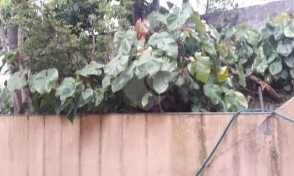 Terreno à venda na rua damiana da cunha, 354, santa teresinha, são paulo, 852 m2 por r$ 3.800.000