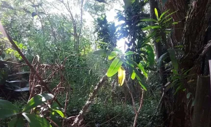 Terreno à venda na rua capitão luís rodrigues de albuquerque, 98, vila irmãos arnoni, são paulo, 572 m2 por r$ 1.200.000