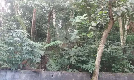 Terreno à venda na rua coronel agostinho da fonseca, 1, tucuruvi, são paulo, 5951 m2 por r$ 1.200.000