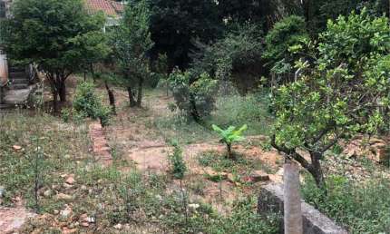Terreno comercial para alugar na Rua Augusto Tolle, 528, Santana, São Paulo, 870 m2 por R$ 25.000