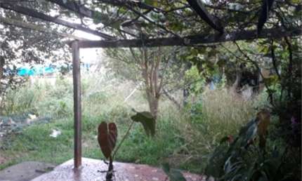 Casa com 1 quarto à venda na Rua Professor Dário Ribeiro, 1246, Vila Prado, São Paulo, 400 m2 por R$ 850.000