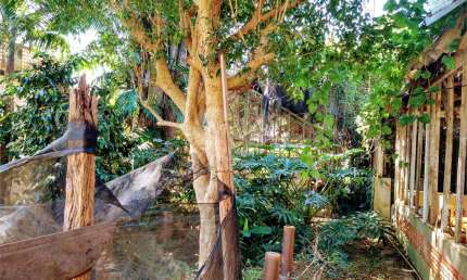 Terreno à venda na Rua Pedro, 354, Vila Albertina, São Paulo, 1250 m2 por R$ 2.650.000