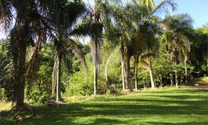 Chácara / sítio com 4 quartos à venda na Rua Abrahão Kalil Aun, 290, Monte Alegre, Vinhedo, 650 m2 por R$ 5.490.000