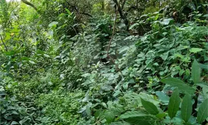 Terreno à venda na rua mateus garcia, 212, vila irmãos arnoni, são paulo, 480 m2 por r$ 950.000