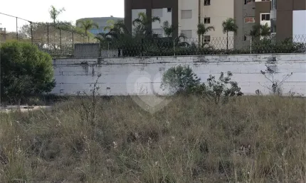 Terreno à venda na Rua Américo Brasiliense, 2307, Chácara Santo Antônio, São Paulo, 586 m2 por R$ 6.000.000
