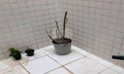 Casa em condomínio fechado com 3 quartos à venda na Rua Coronel Vieira de Castro, 76, Imirim, São Paulo, 123 m2 por R$ 850.000