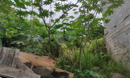 Terreno à venda na Rua Monsenhor Marcondes Nitsch, 108, Chora Menino, São Paulo, 520 m2 por R$ 1.700.000