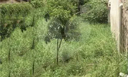 Terreno à venda na Rua Silvestre Lacroix, 91, Vila Constança, São Paulo, 360 m2 por R$ 1.045.000