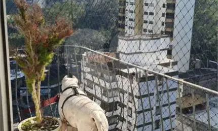 Apartamento com 3 quartos à venda na Rua Abdo Ambuba, 277, Vila Andrade, São Paulo, 209 m2 por R$ 1.350.000