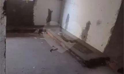 Casa com 4 quartos à venda na Rua Costa Aguiar, 1002, Ipiranga, São Paulo, 425 m2 por R$ 3.000.000