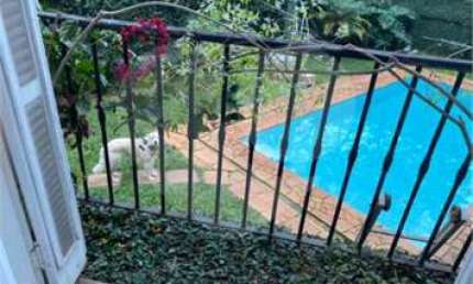 Casa com 4 quartos à venda na Rua Sebastião Cabot, 464, Jardim Guedala, São Paulo, 420 m2 por R$ 4.000.000