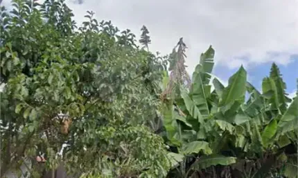 Terreno à venda na Rua Betânia, 580, Parque Oratório, Santo André, 300 m2 por R$ 615.000