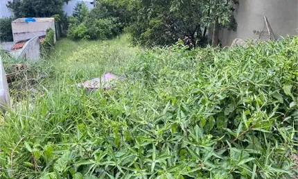 Terreno à venda na Rua Abadia dos Dourados, 550, Vila Indiana, São Paulo, 812 m2 por R$ 1.500.000
