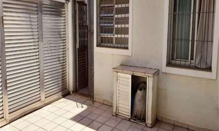 Casa com 3 quartos à venda na Rua Baronesa de Porto Carreiro, 247, Bom Retiro, São Paulo, 220 m2 por R$ 1.300.000