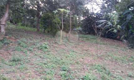 Terreno comercial para alugar na Rua Colina de São Marcos, 35, Palanque, São Paulo, 1680 m2 por R$ 15.000