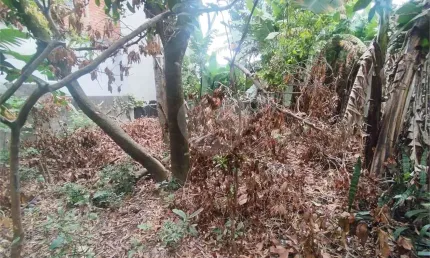 Terreno à venda na rua remanso, 58, vila nova bonsucesso, guarulhos, 338 m2 por r$ 600.000