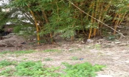 Terreno à venda na rua brazópolis, 79, jardim jaú (zona leste), são paulo, 800 m2 por r$ 1.191.000